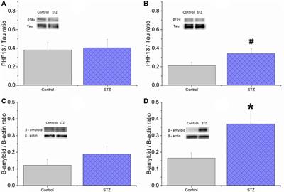 Corrigendum: Intracerebroventricularly Injected Streptozotocin Exerts Subtle Effects on the Cognitive Performance of Long-Evans Rats